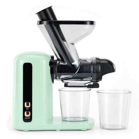 Mini Slow Masticating Juicer Machines, Cold Press Fruits & Vegetables Juice Extractor w/ Reverse Function, Easy to Clean, Quiet Motor